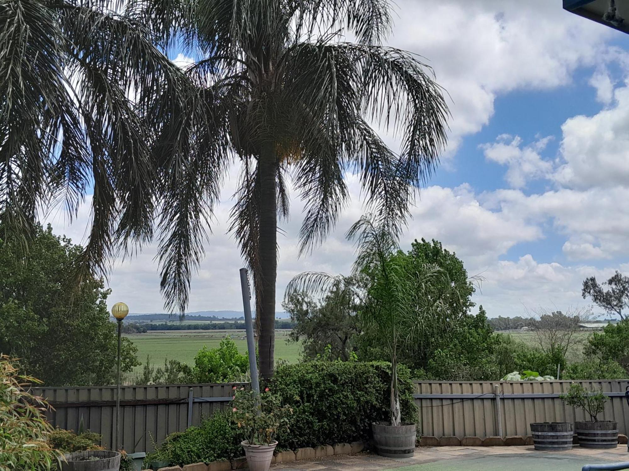 Muswellbrook Northside Bed & Breakfast 外观 照片