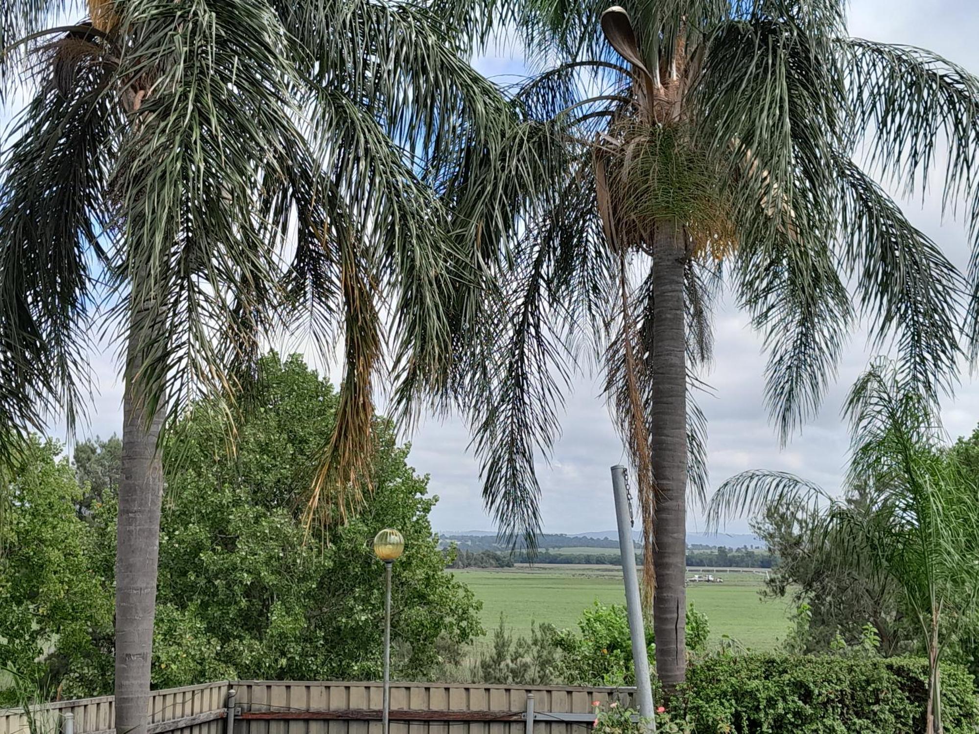 Muswellbrook Northside Bed & Breakfast 外观 照片