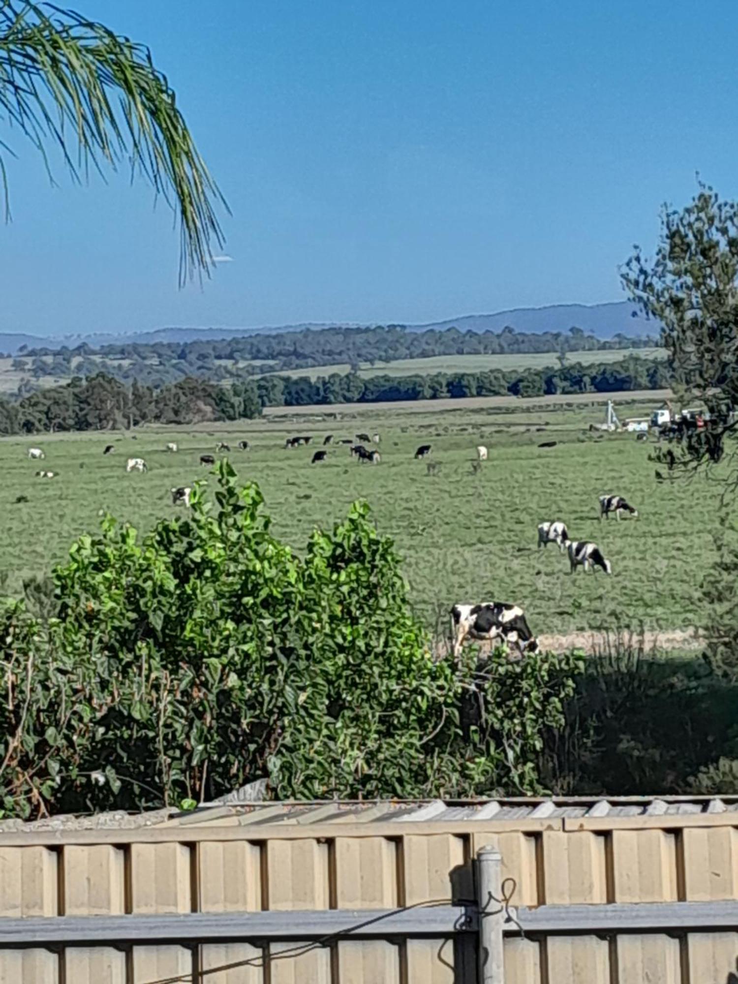 Muswellbrook Northside Bed & Breakfast 外观 照片